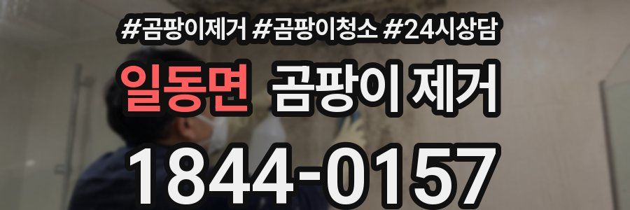 일동면 곰팡이 제거