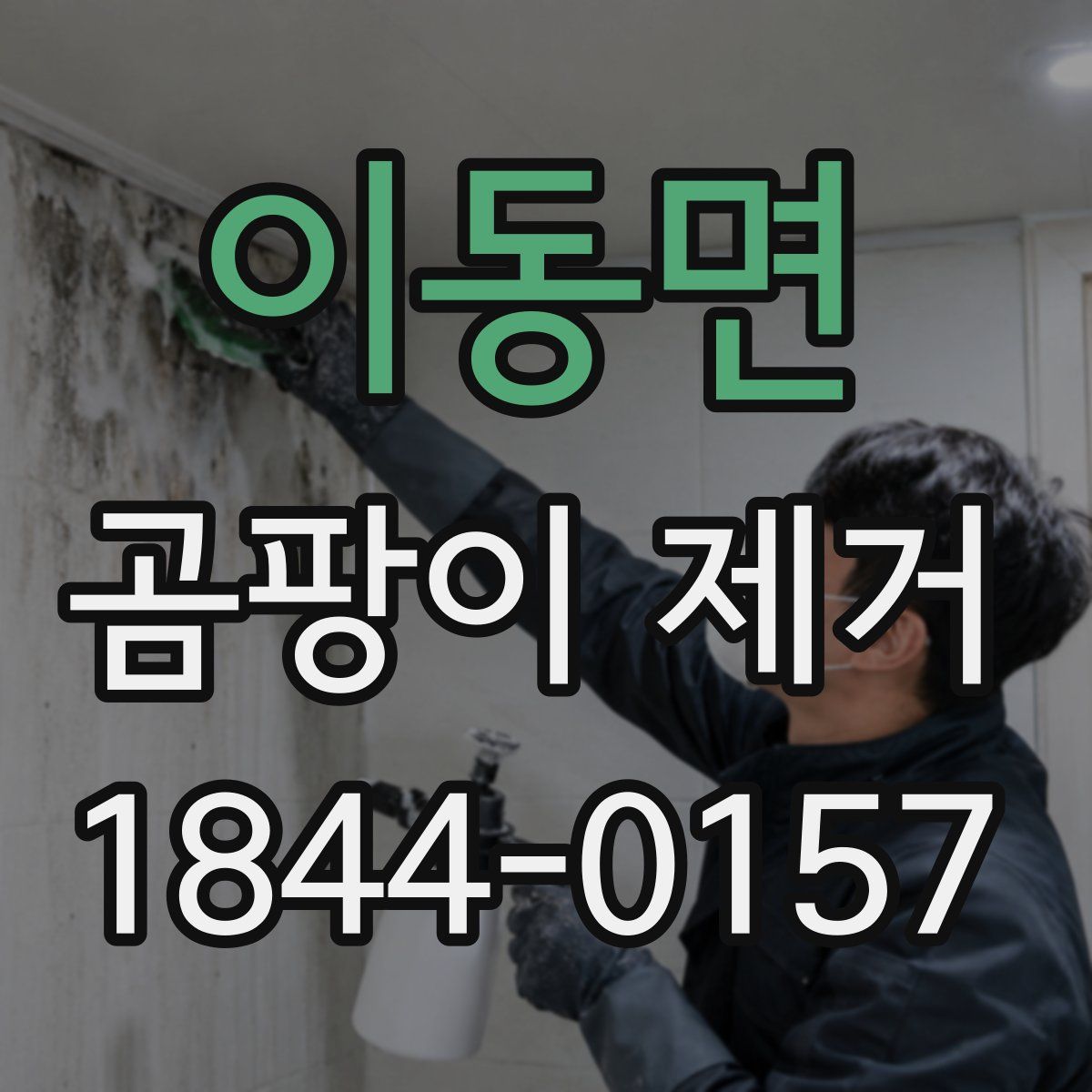 이동면 곰팡이 제거