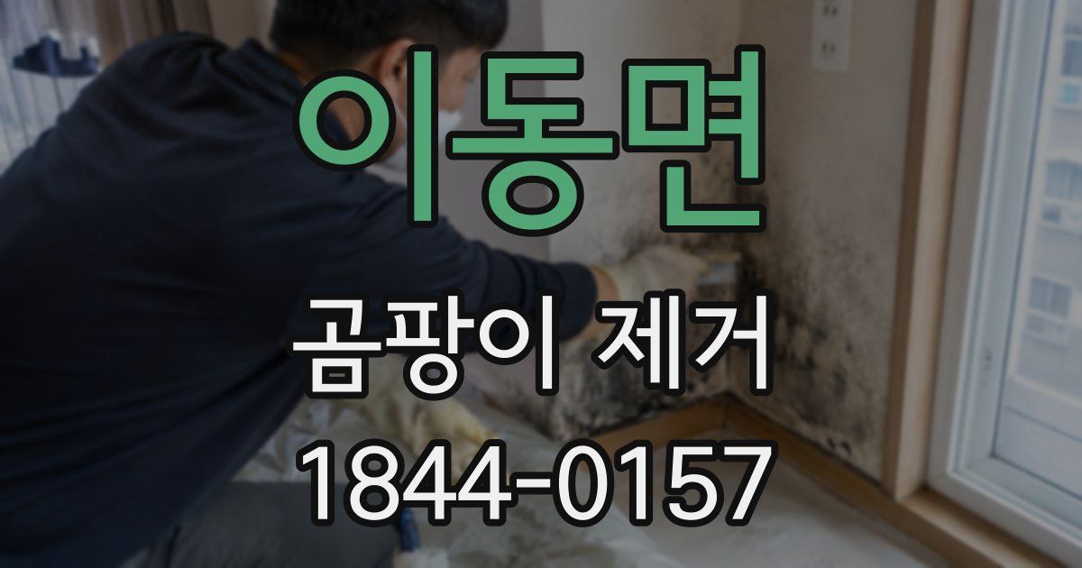이동면 곰팡이 제거