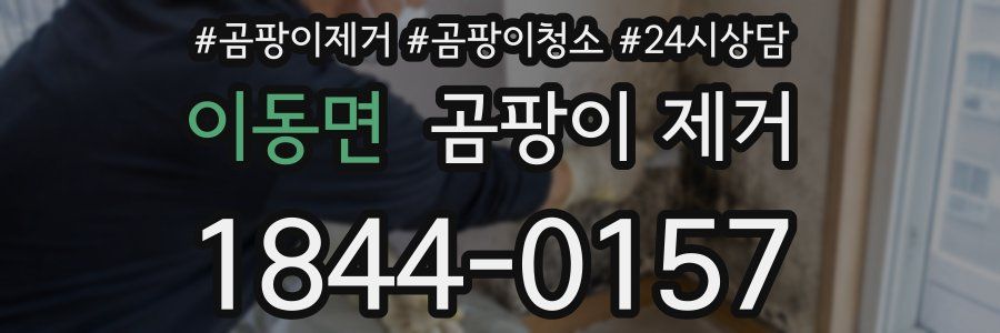 이동면 곰팡이 제거