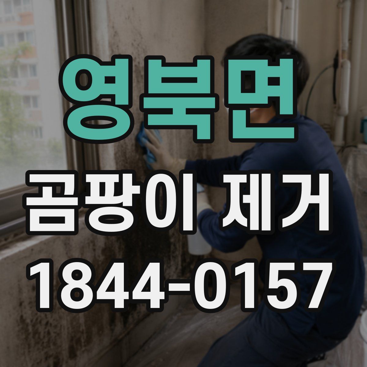 영북면 곰팡이 제거