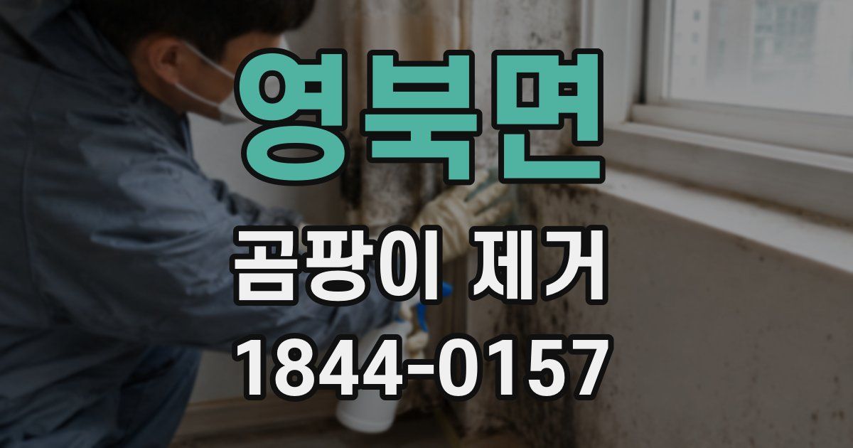 영북면 곰팡이 제거