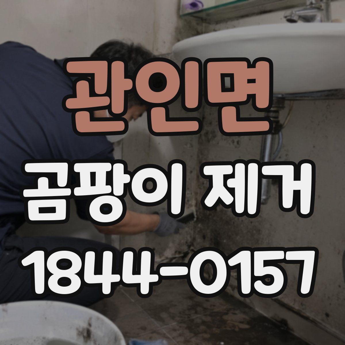 관인면 곰팡이 제거