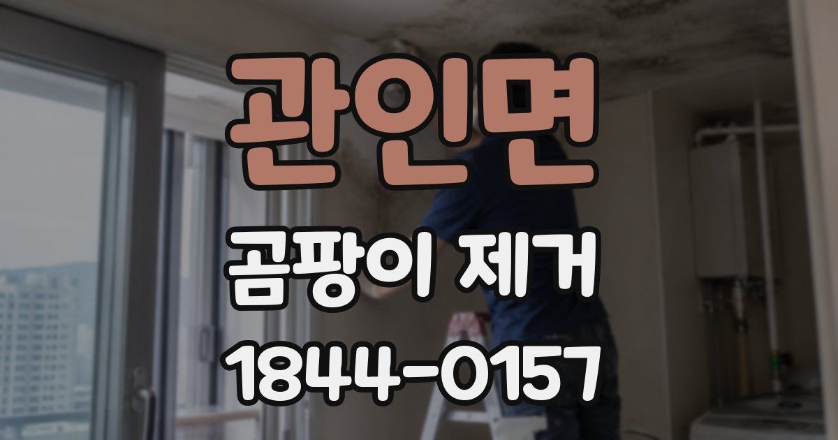 관인면 곰팡이 제거