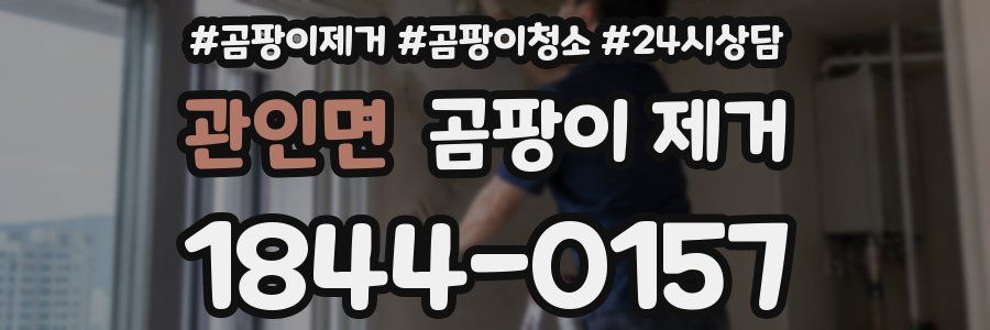 관인면 곰팡이 제거