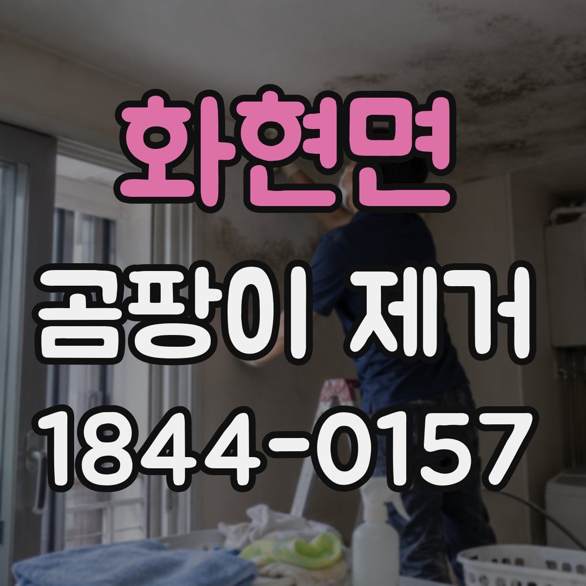 화현면 곰팡이 제거