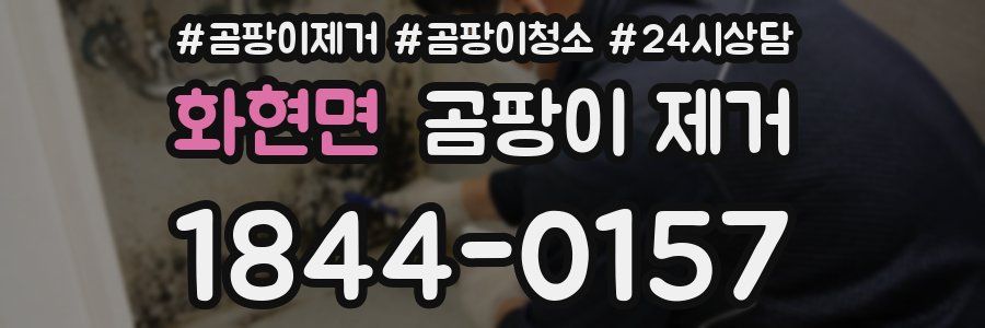 화현면 곰팡이 제거