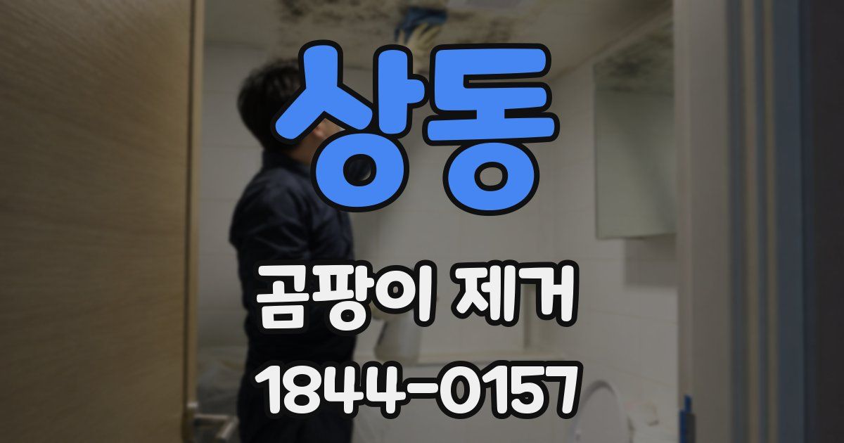 상동 곰팡이 제거