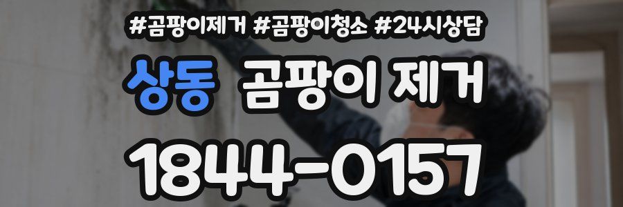 상동 곰팡이 제거