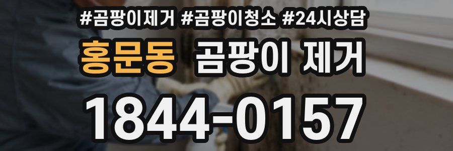 홍문동 곰팡이 제거