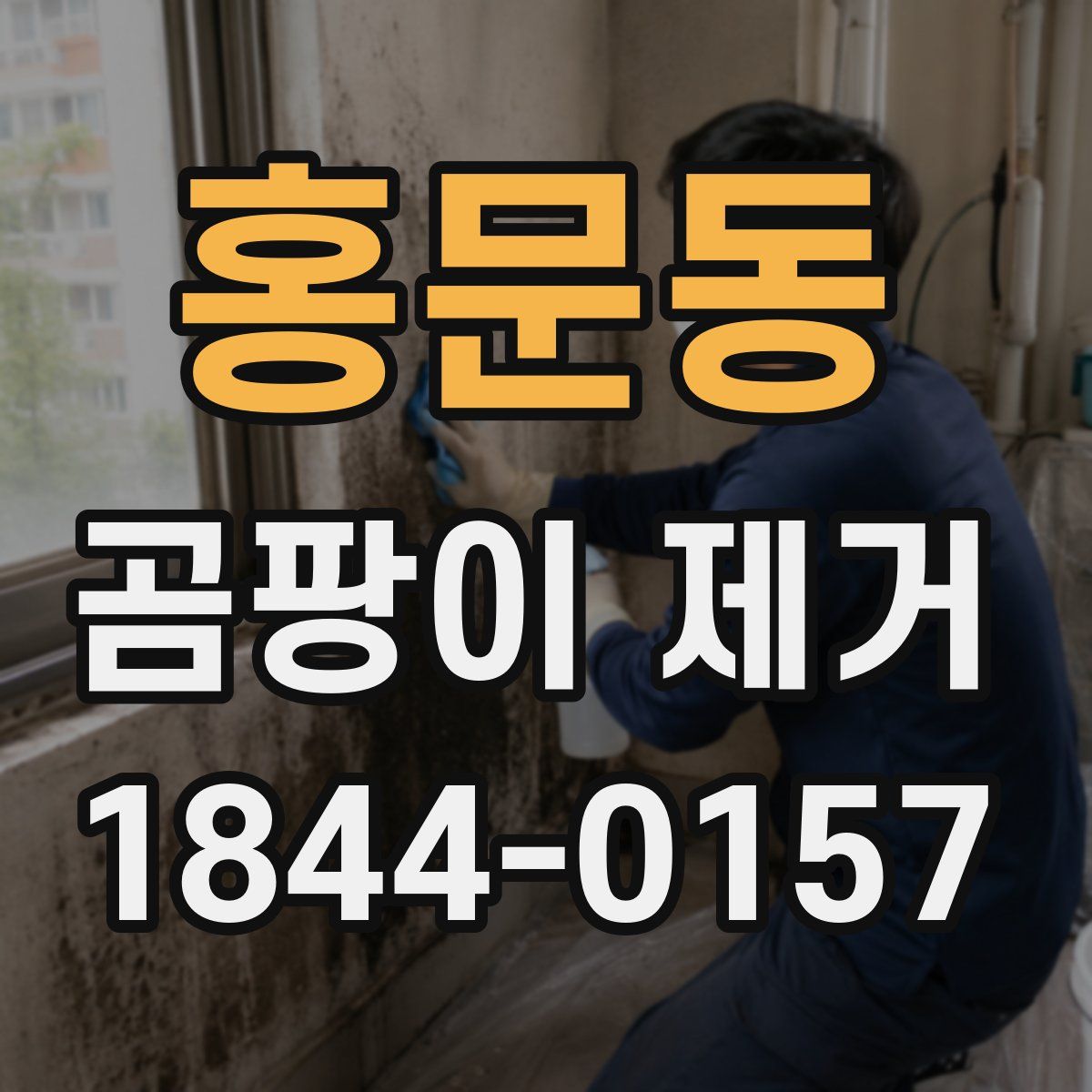 홍문동 곰팡이 제거