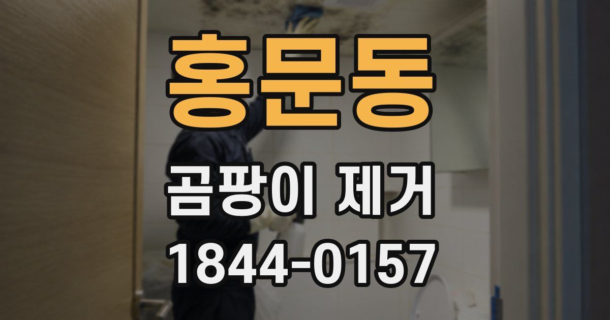 홍문동 곰팡이 제거