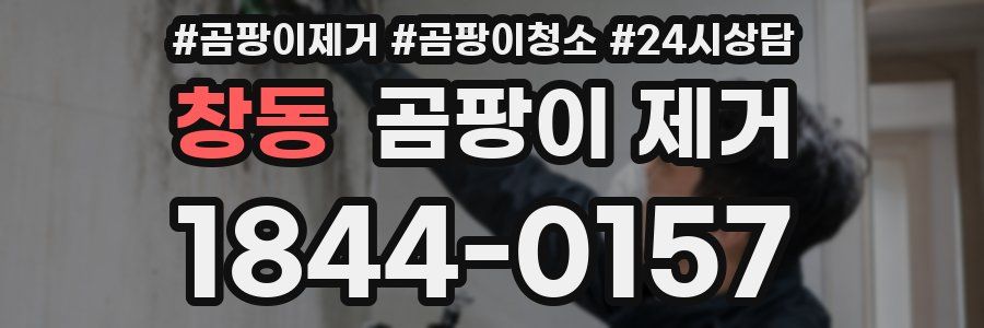 창동 곰팡이 제거