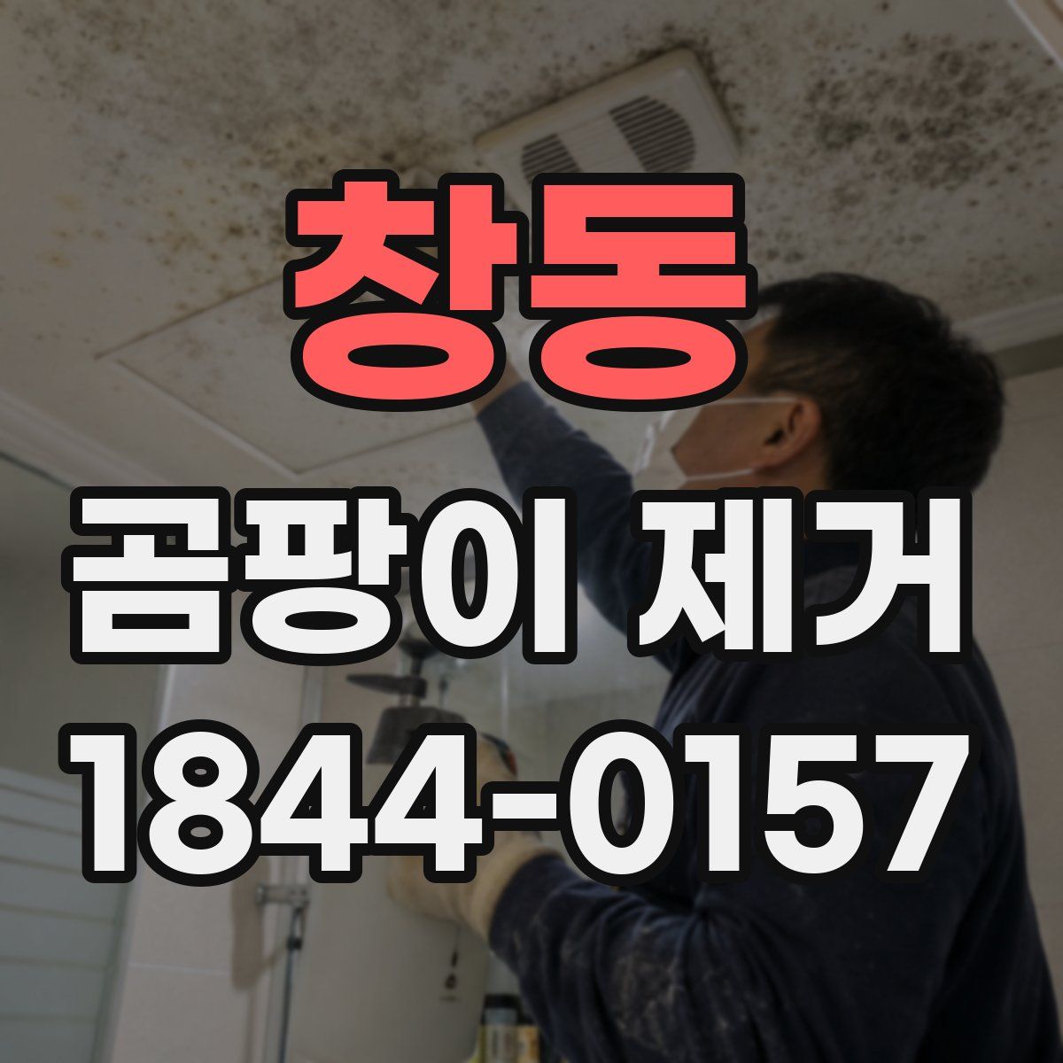 창동 곰팡이 제거