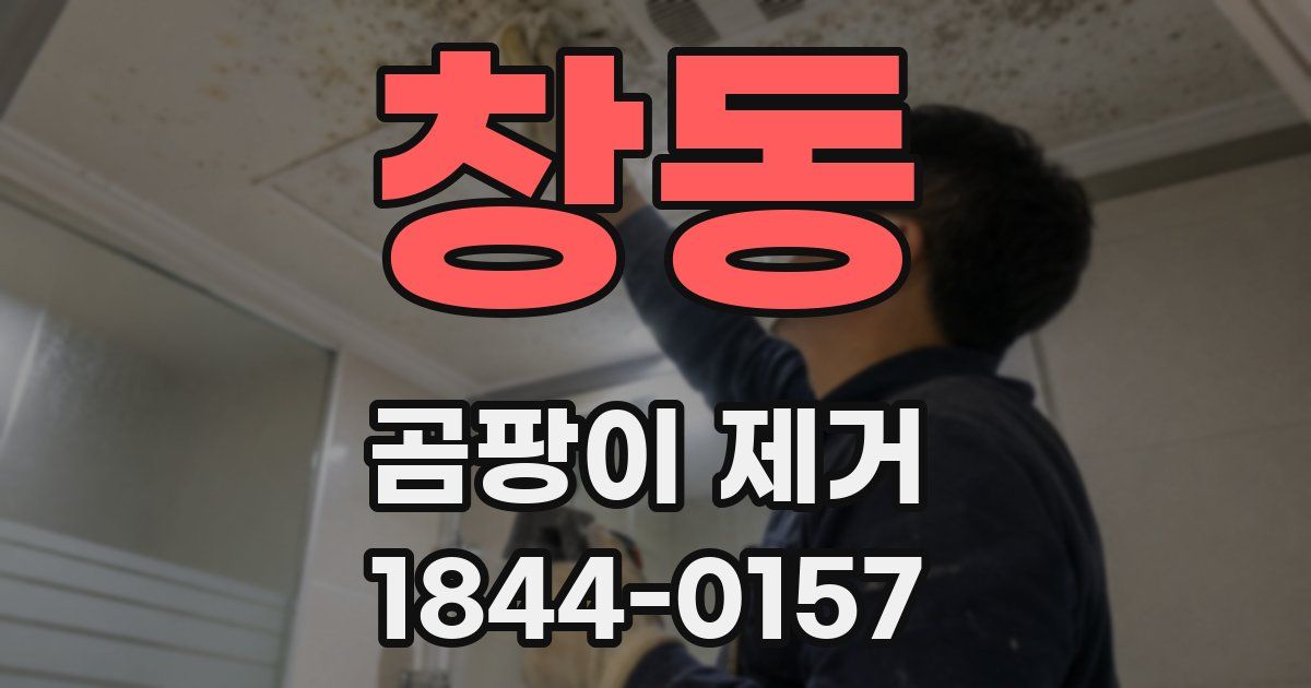 창동 곰팡이 제거