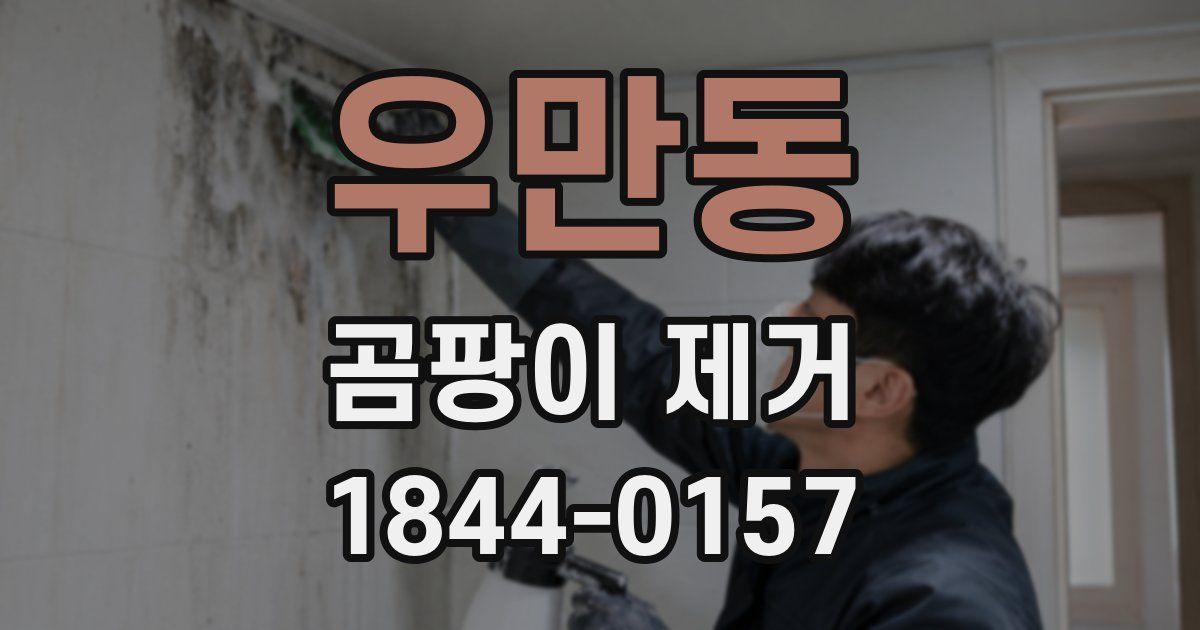 우만동 곰팡이 제거