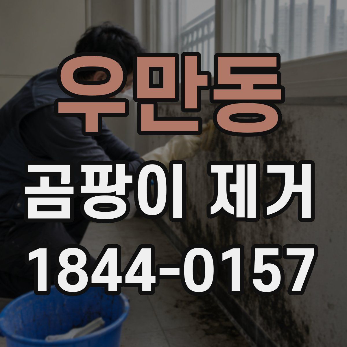 우만동 곰팡이 제거