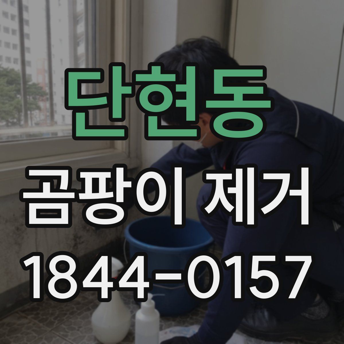 단현동 곰팡이 제거