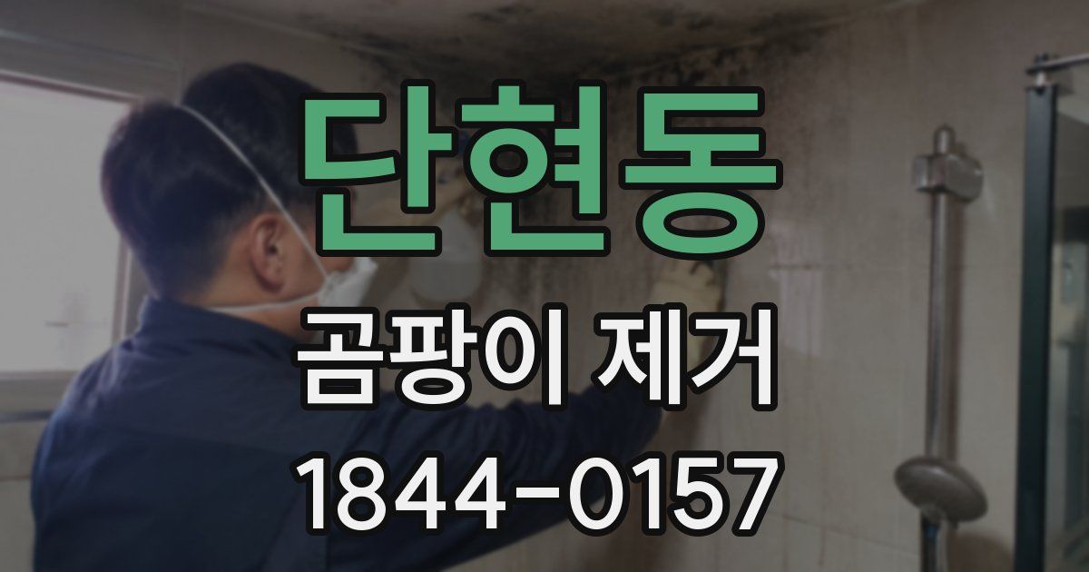 단현동 곰팡이 제거