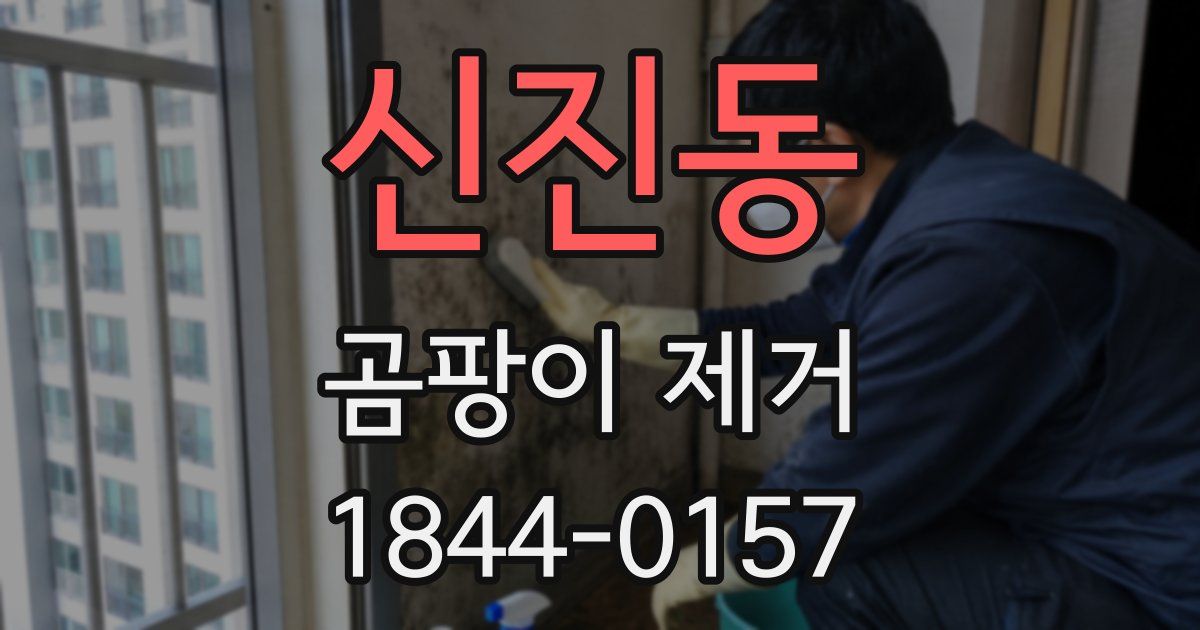 신진동 곰팡이 제거