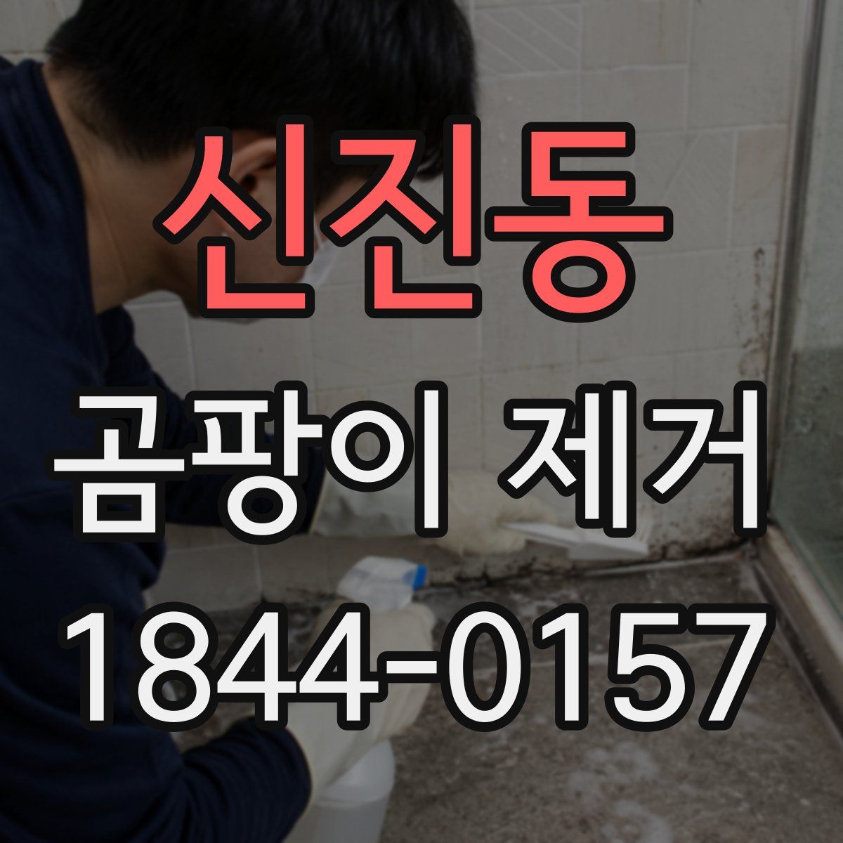 신진동 곰팡이 제거