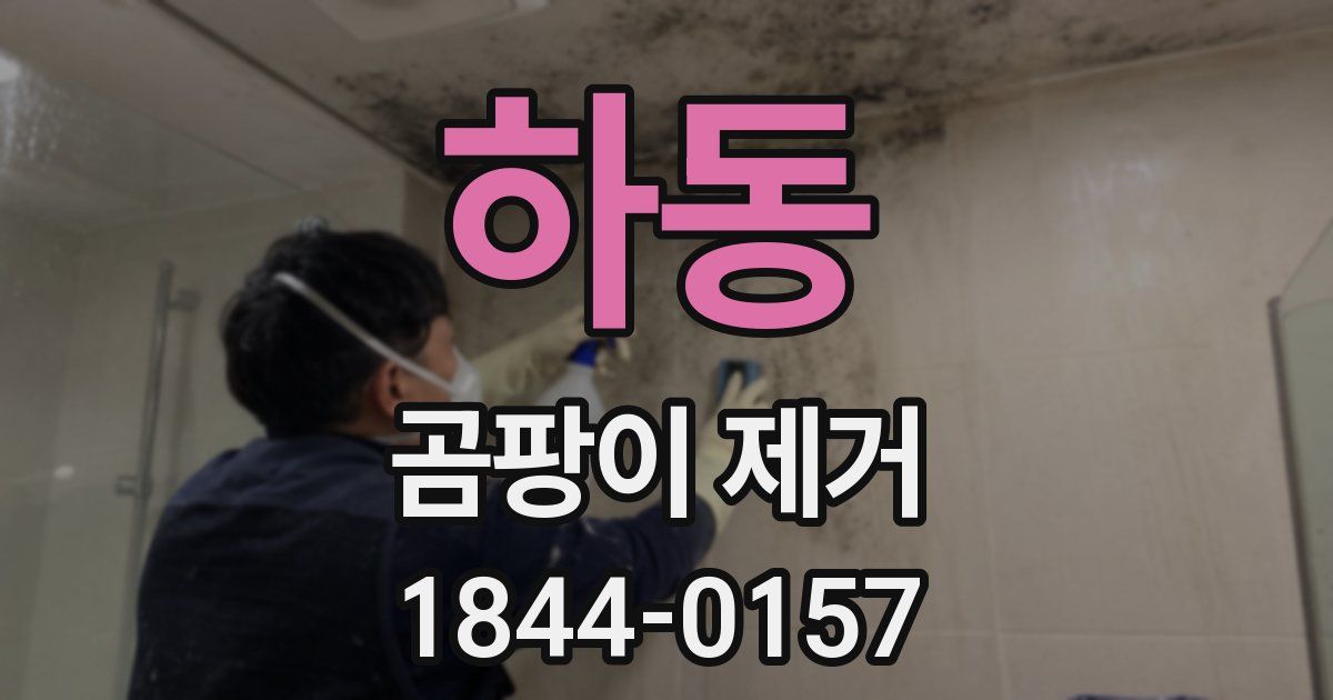 하동 곰팡이 제거