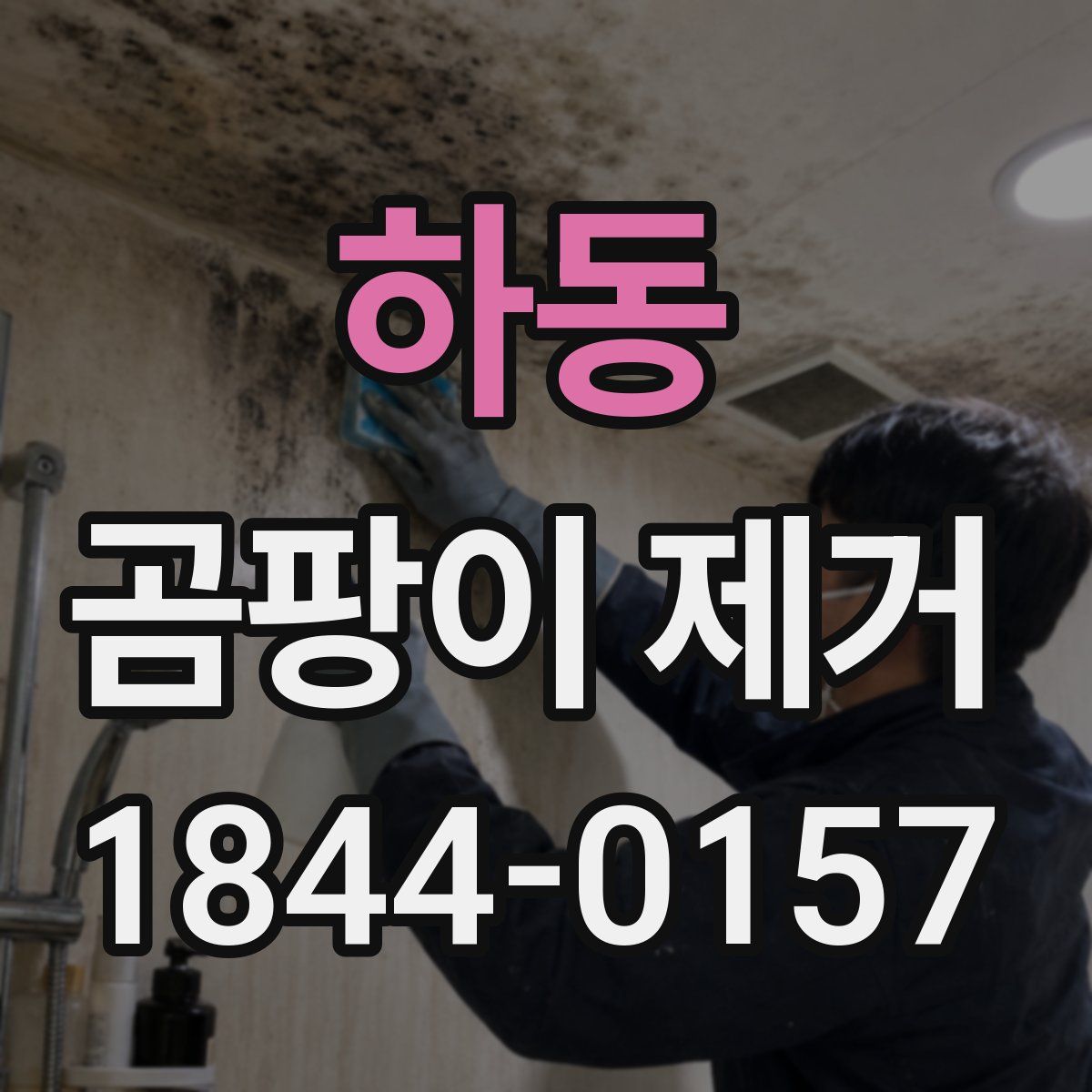 하동 곰팡이 제거