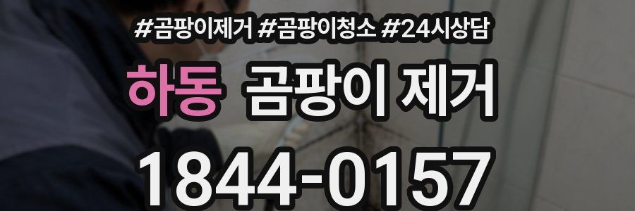하동 곰팡이 제거