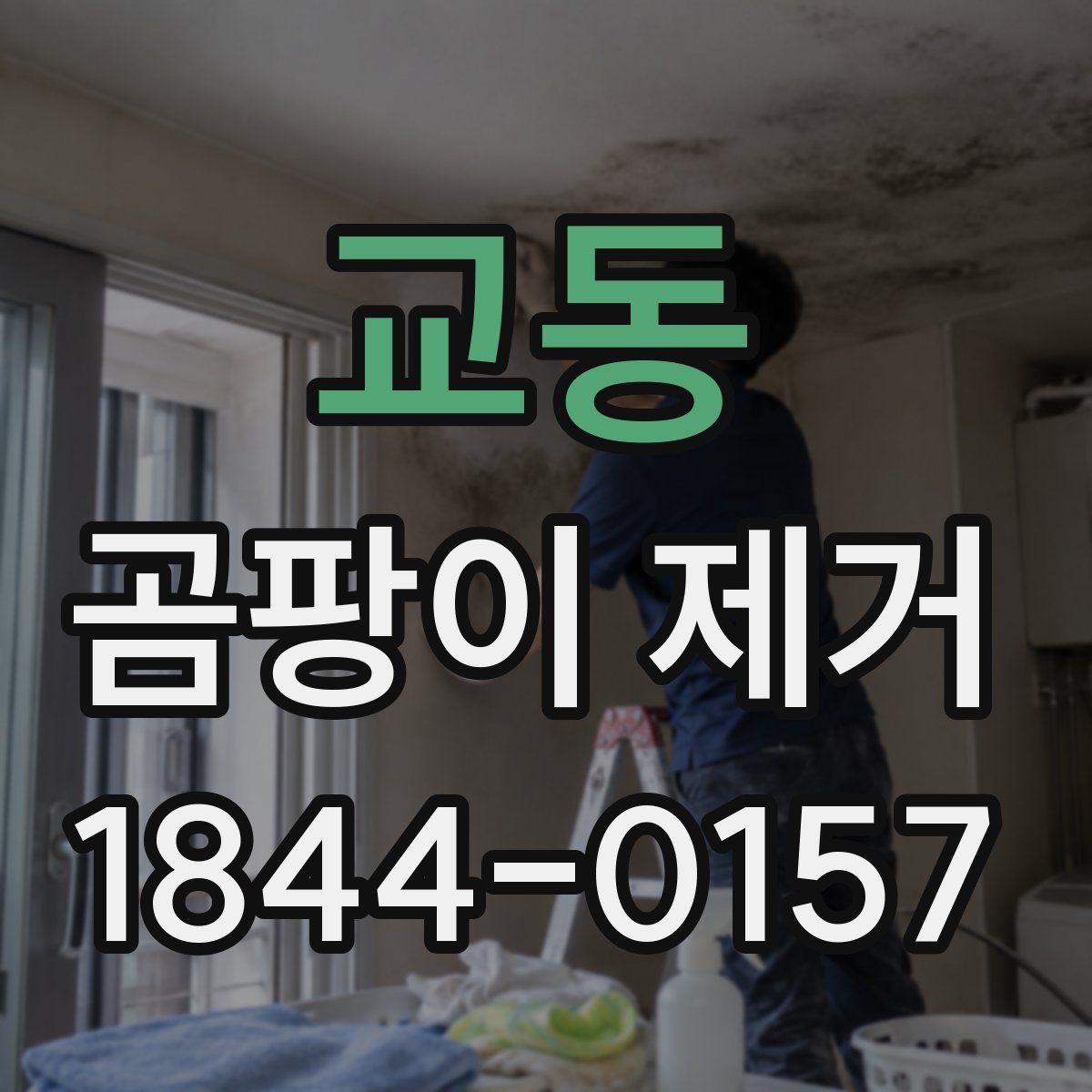 교동 곰팡이 제거