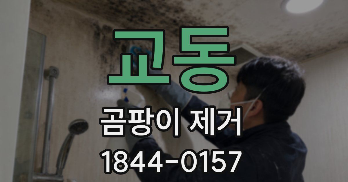 교동 곰팡이 제거