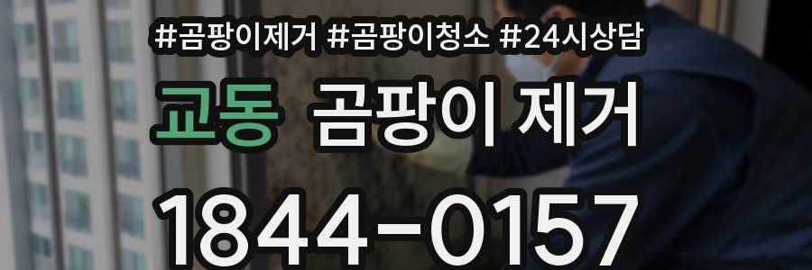 교동 곰팡이 제거