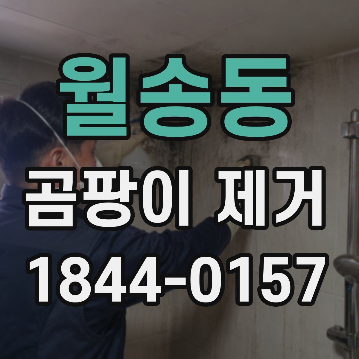 월송동 곰팡이 제거