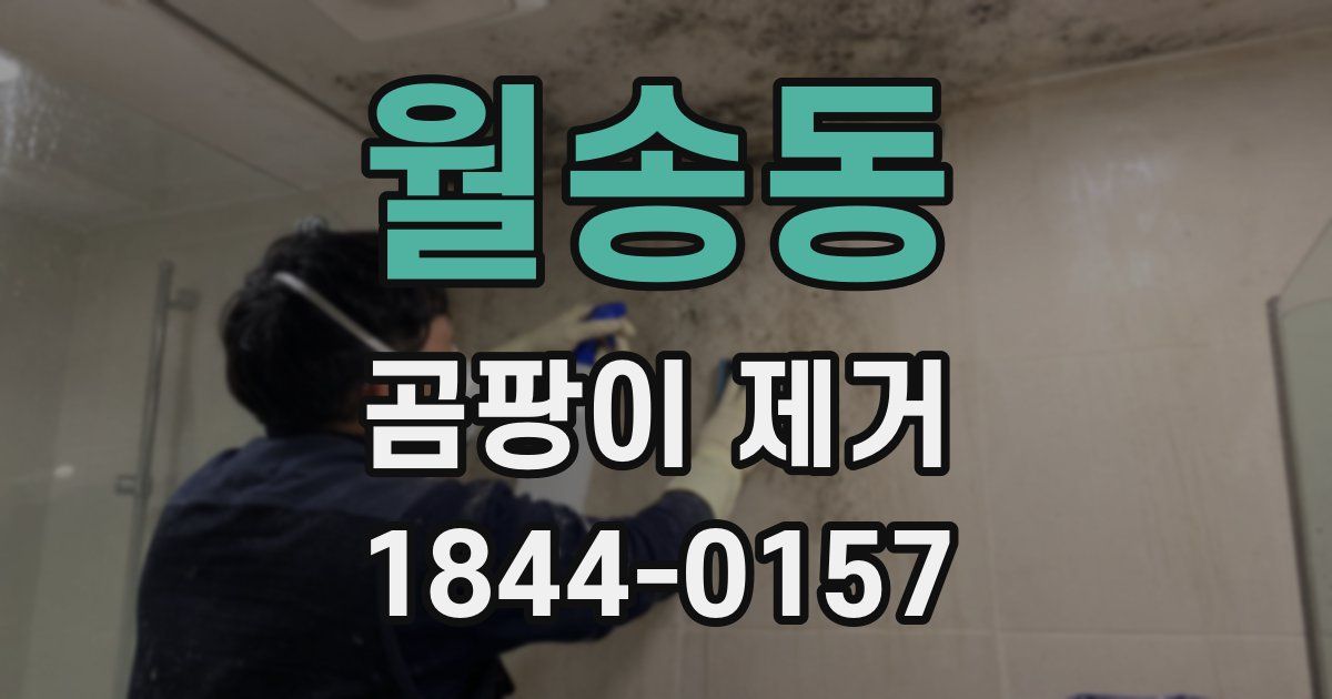 월송동 곰팡이 제거