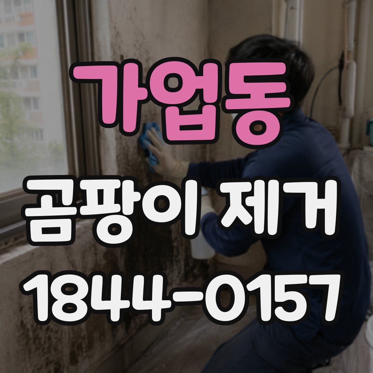 가업동 곰팡이 제거