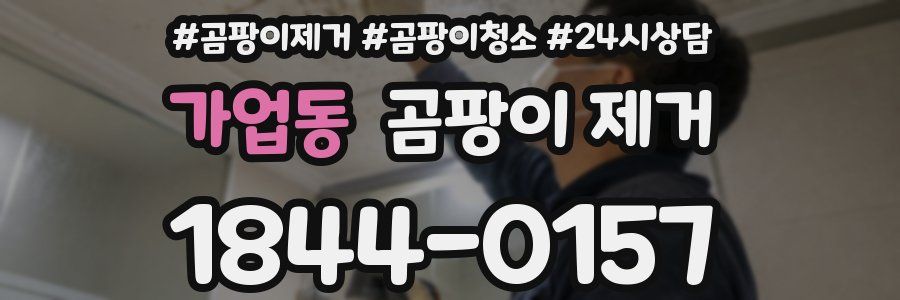 가업동 곰팡이 제거