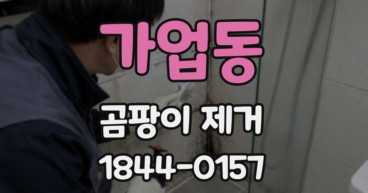 가업동 곰팡이 제거