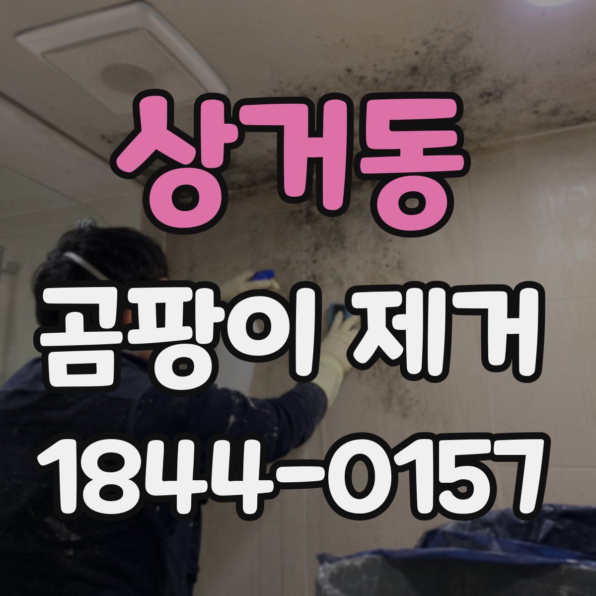상거동 곰팡이 제거