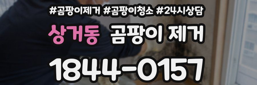 상거동 곰팡이 제거