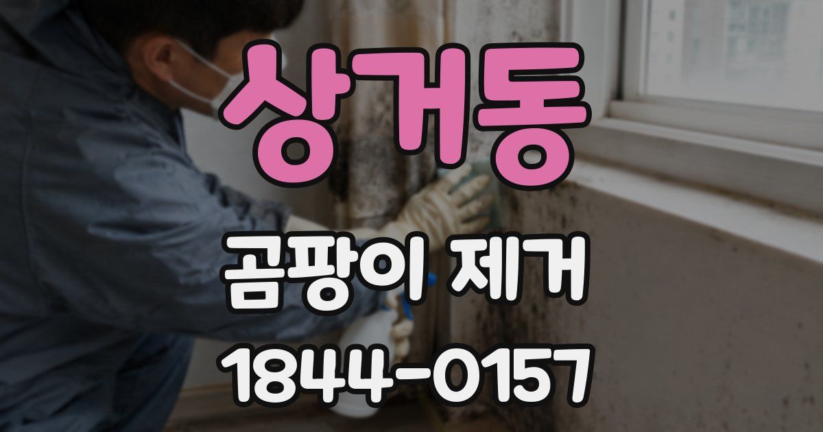 상거동 곰팡이 제거