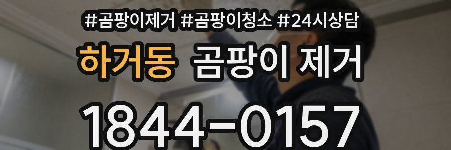 하거동 곰팡이 제거