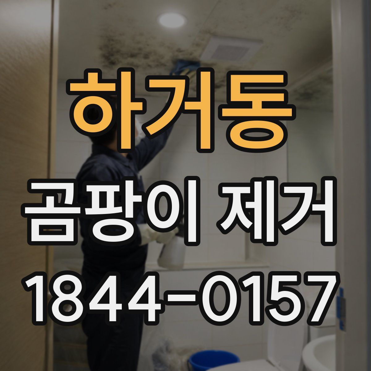 하거동 곰팡이 제거
