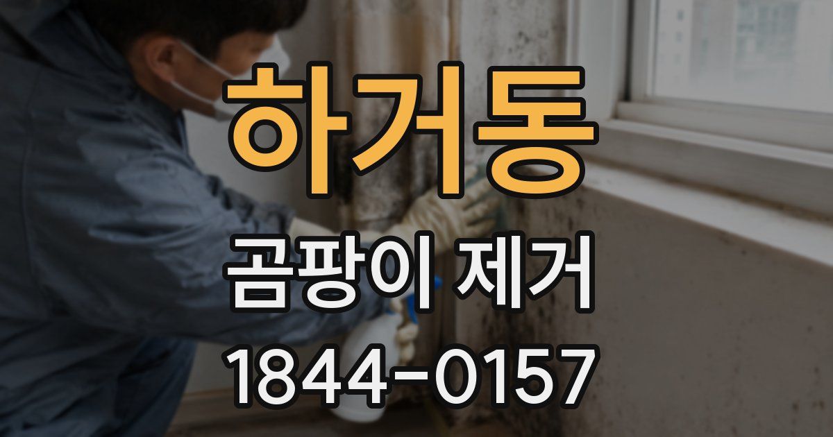하거동 곰팡이 제거