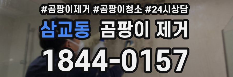 삼교동 곰팡이 제거