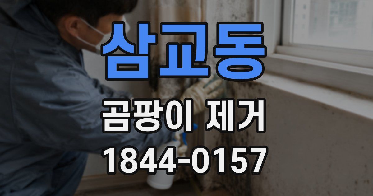 삼교동 곰팡이 제거