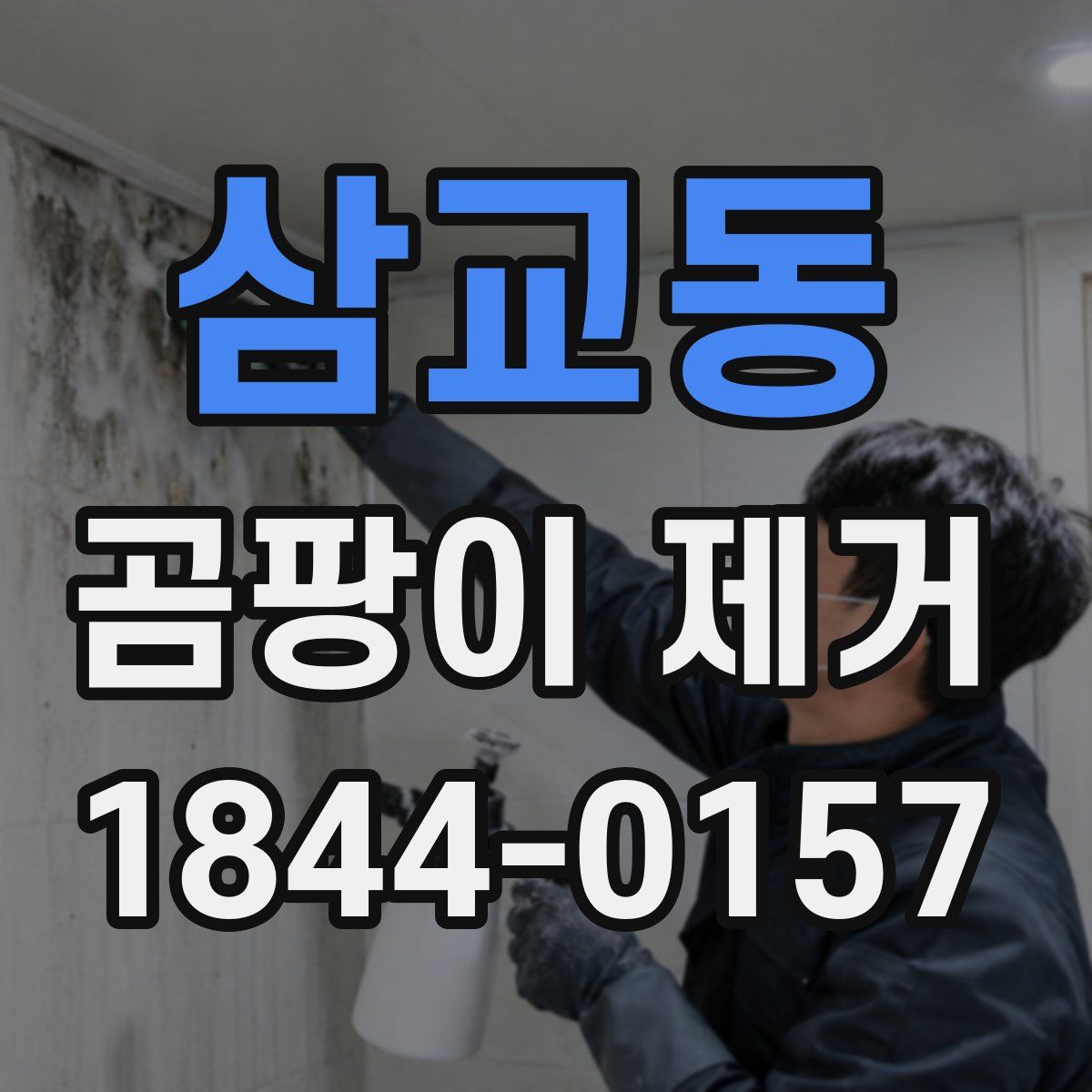 삼교동 곰팡이 제거