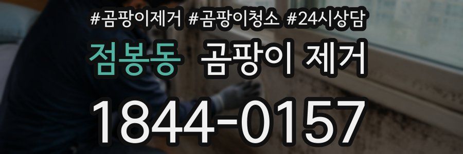점봉동 곰팡이 제거