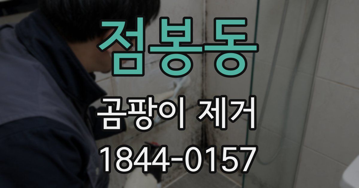 점봉동 곰팡이 제거