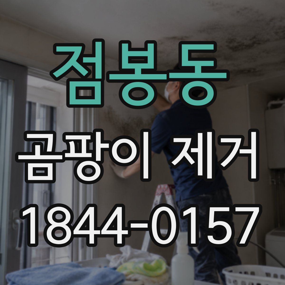 점봉동 곰팡이 제거