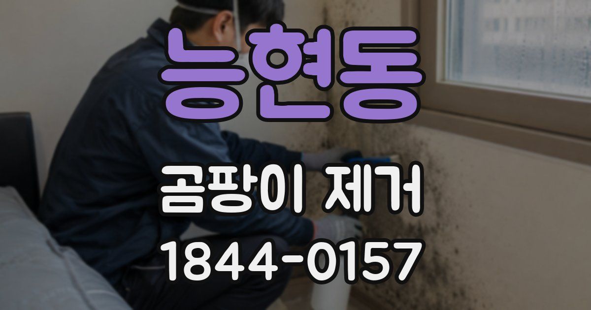 능현동 곰팡이 제거