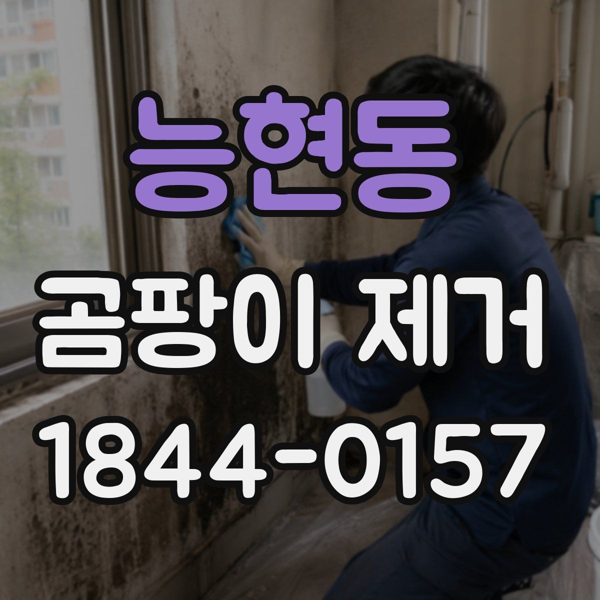 능현동 곰팡이 제거